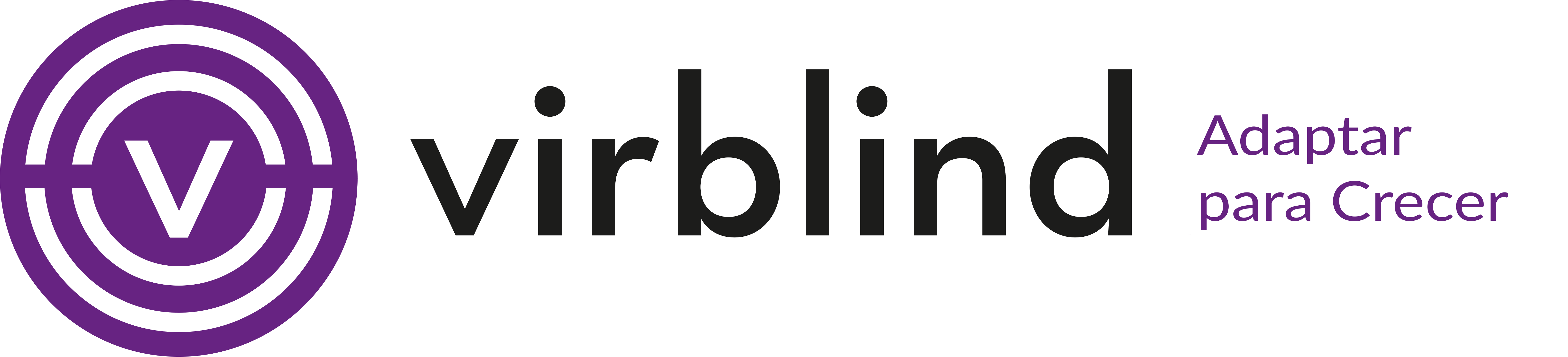 logotipo de Virblind con texto "te describimos la web"